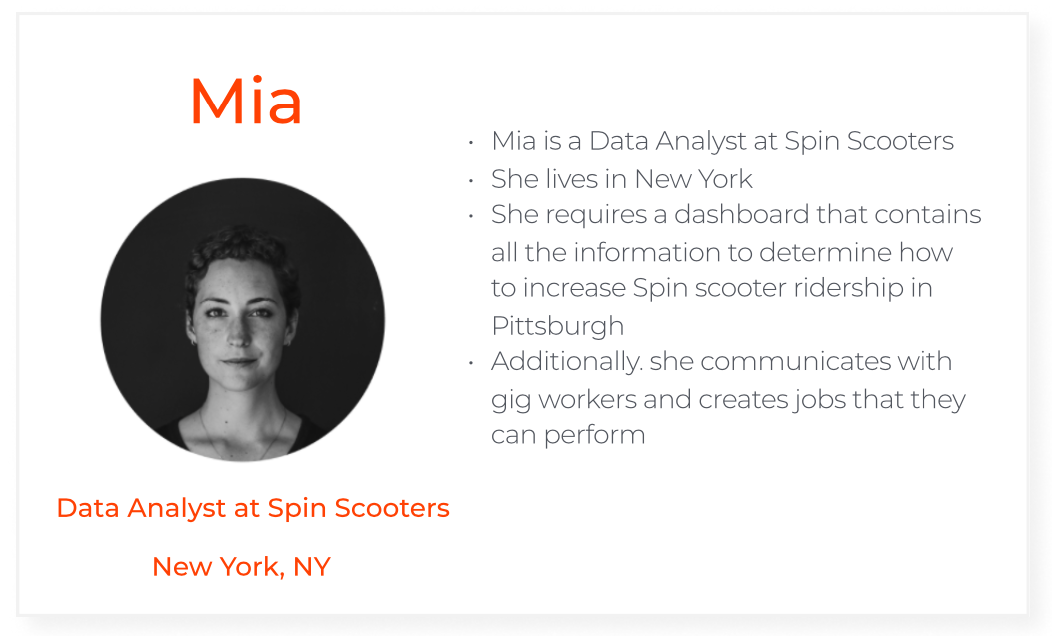 Persona 1 : Mia the Data Analyst