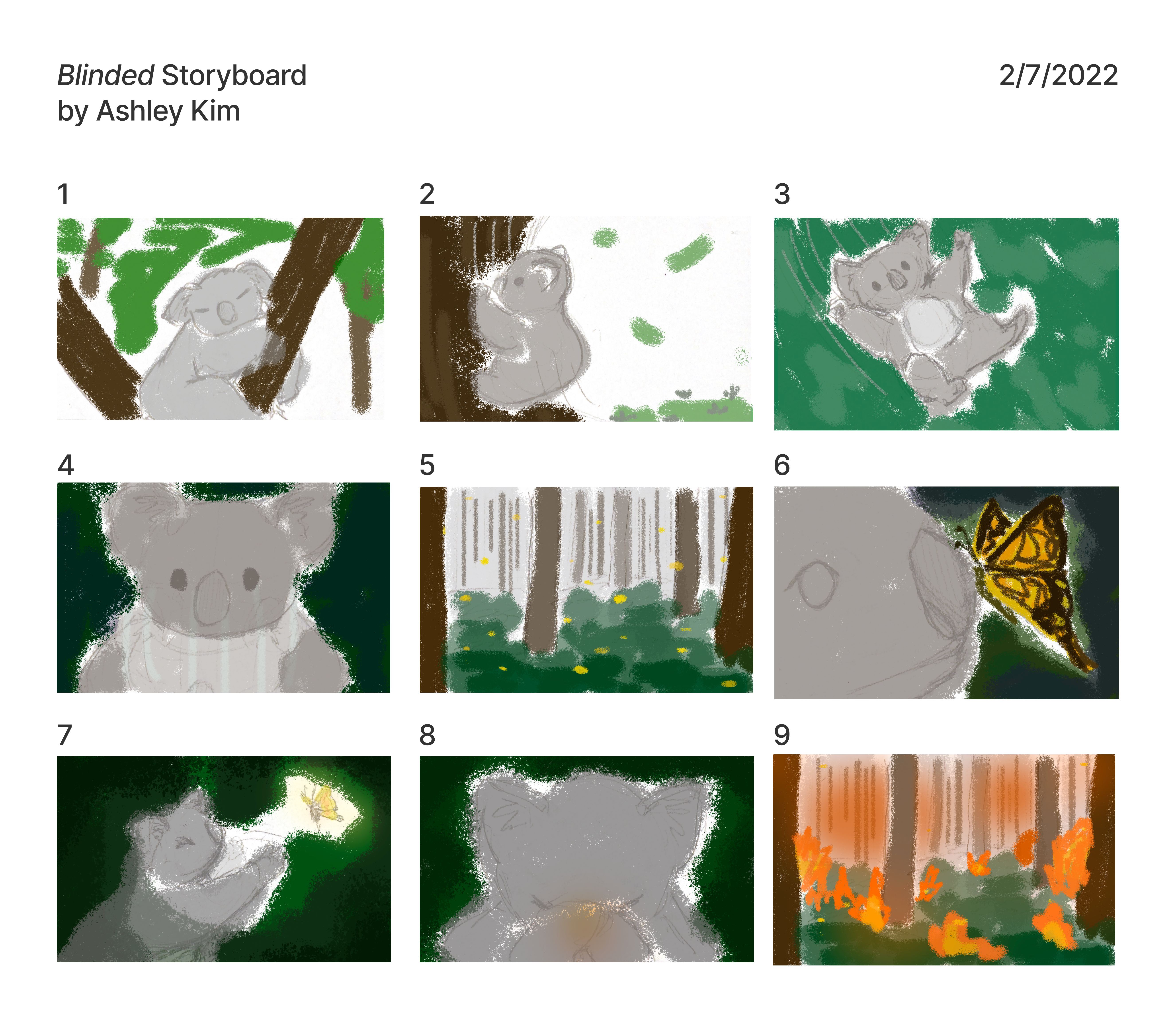 Initial storyboard of Blinded