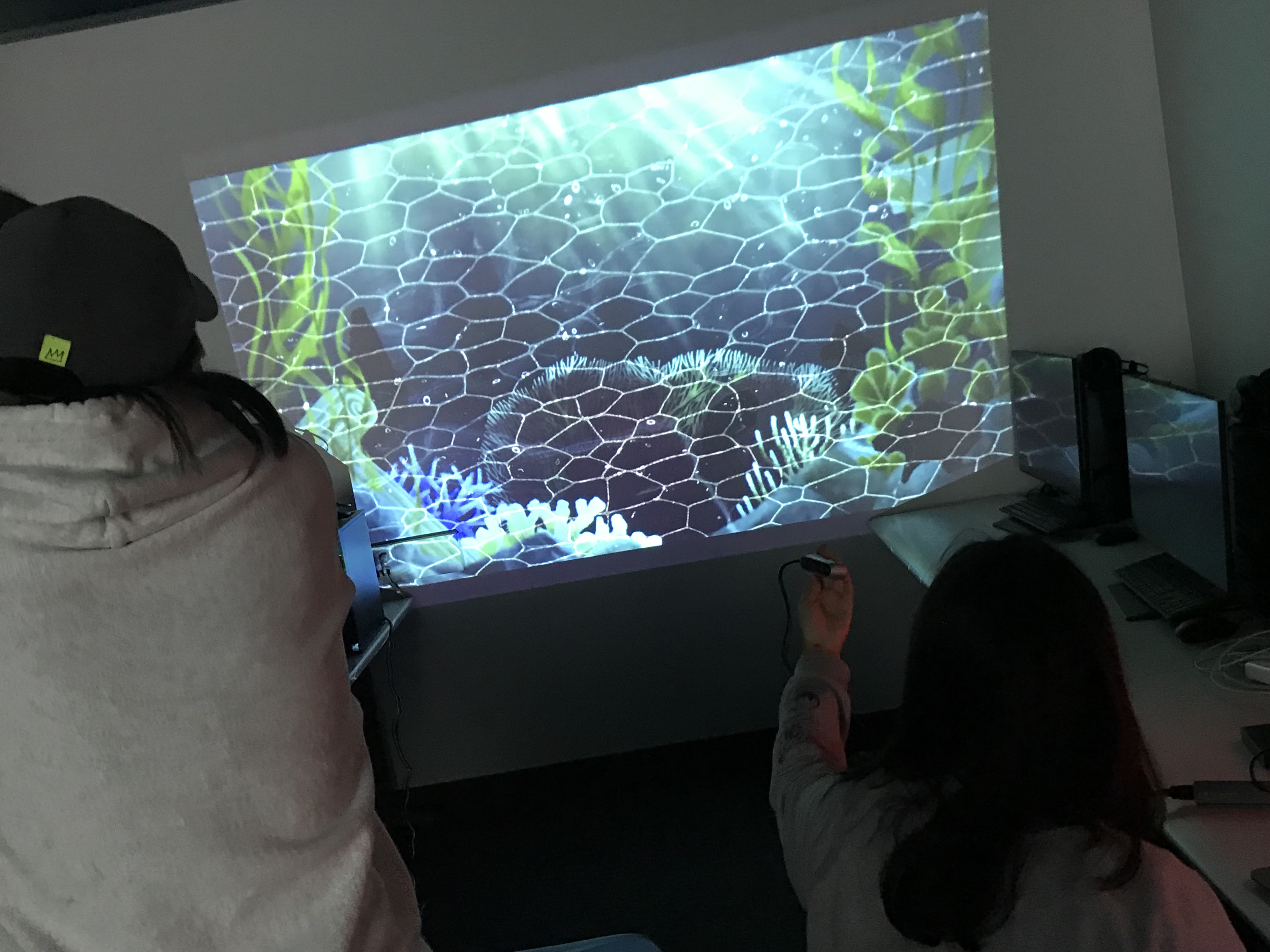 Testing Thalassia projection in a classroom